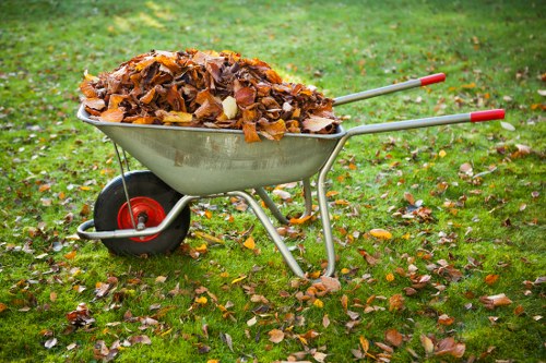 A grey metal wheelbarrow with red handles and a black wheel, positioned on a grassy outdoor area with scattered fallen autumn leaves. The wheelbarrow is filled with a large heap of dry, brown, and orange tree leaves and broken twigs. The background consists of green grass and additional scattered leaves, indicating an outdoor setting during the autumn season. The scene appears to be part of a garden or yard, possibly in East Ham, Kent, or a nearby area, as part of a rubbish removal service provided by Business Waste Removal East Ham. The natural daylight and slightly overcast sky suggest typical weather conditions for this time of year, emphasizing the task of clearing garden debris and yard waste.